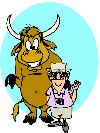 Bulls clip art