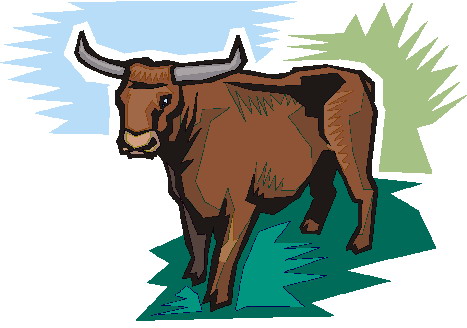 Bulls clip art