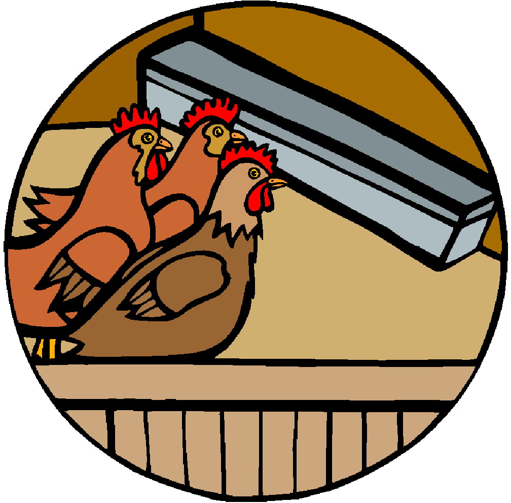 Chickens clip art