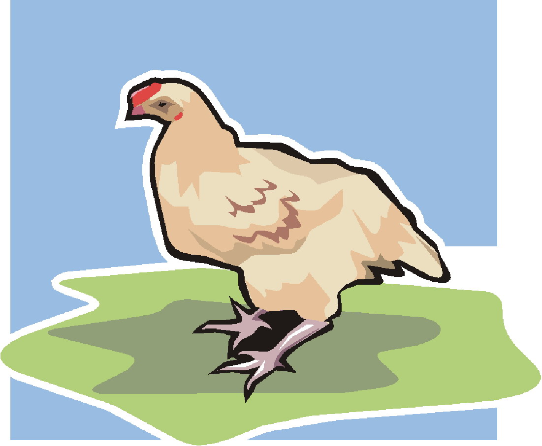 Chickens clip art