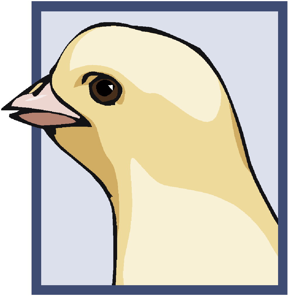 Chickens clip art