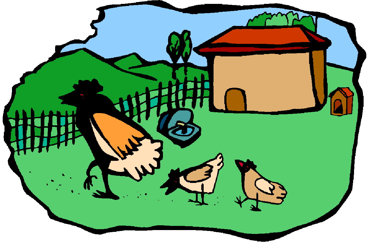 Chickens clip art