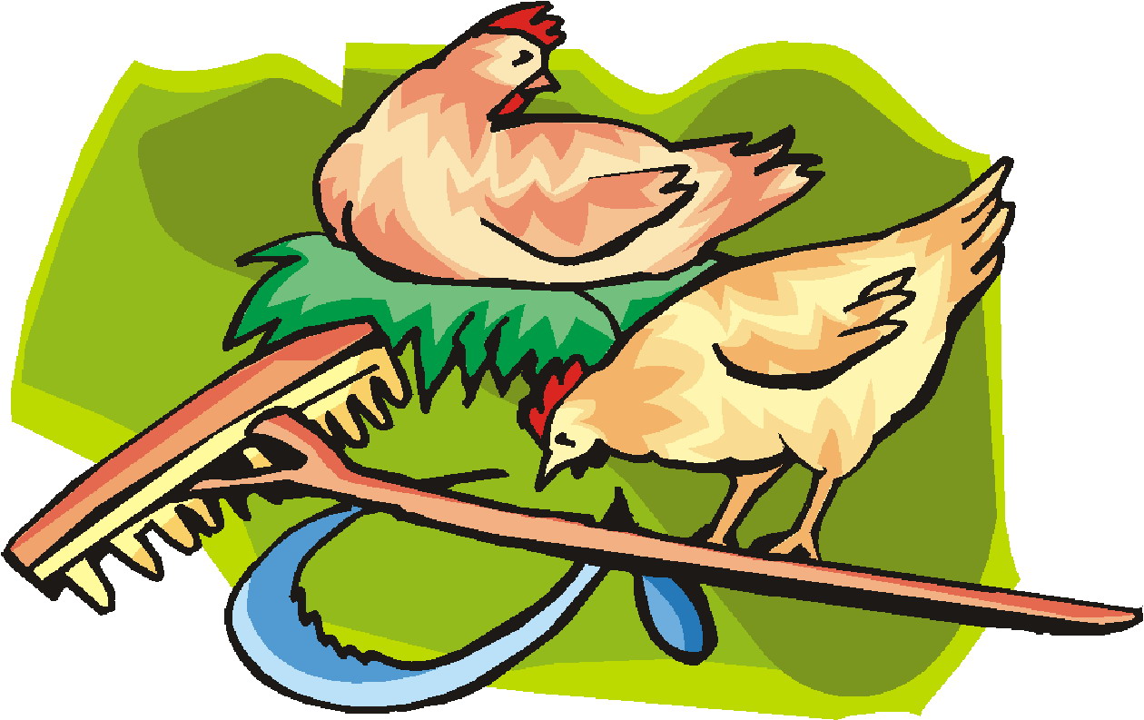 Chickens clip art