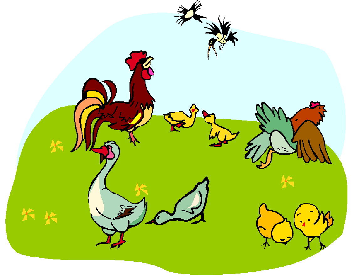 Chickens clip art