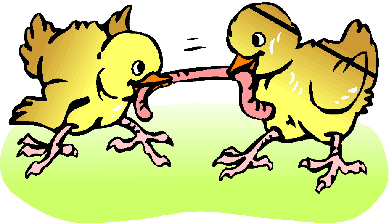 Chickens clip art