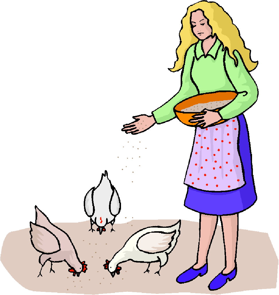 Chickens clip art