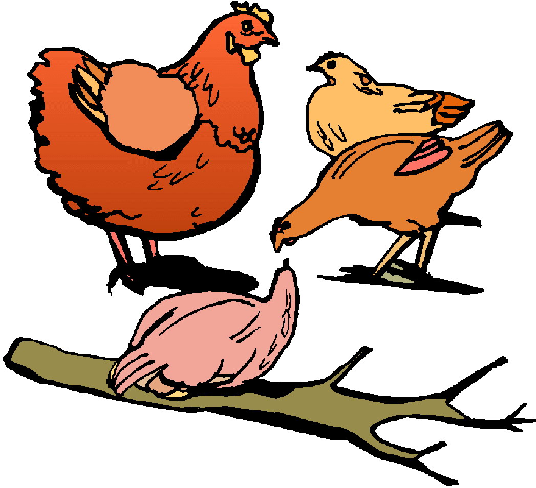 Chickens clip art