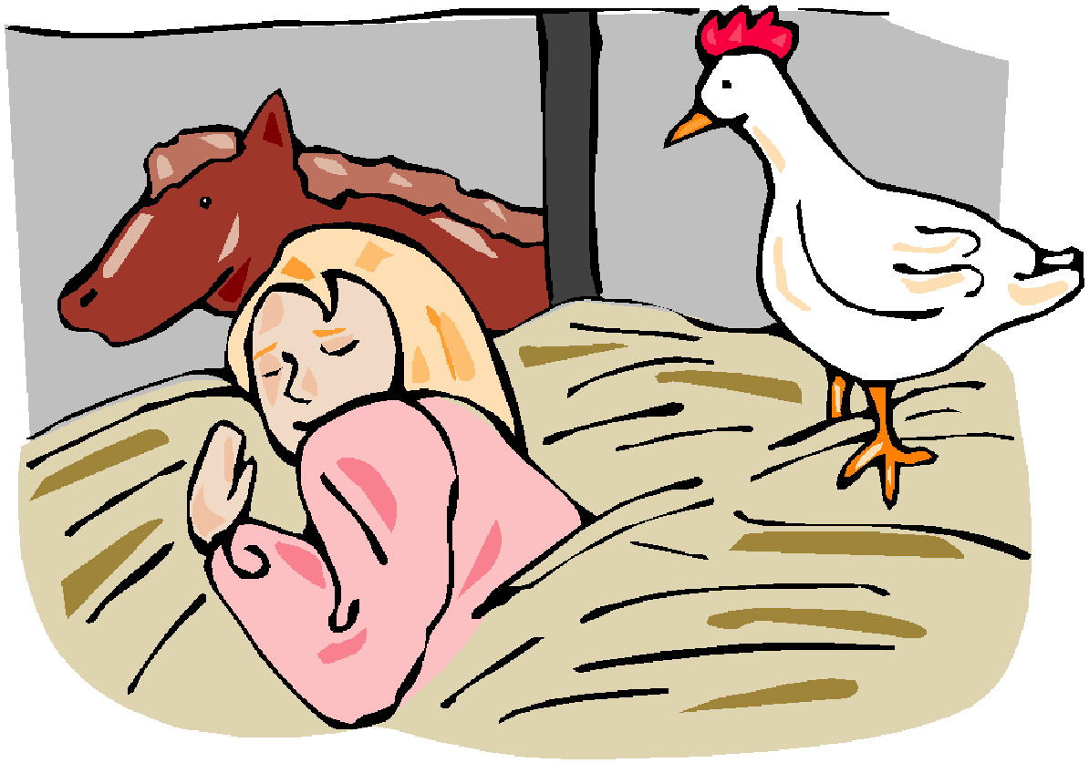 Chickens clip art