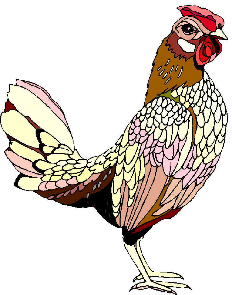 Chickens clip art