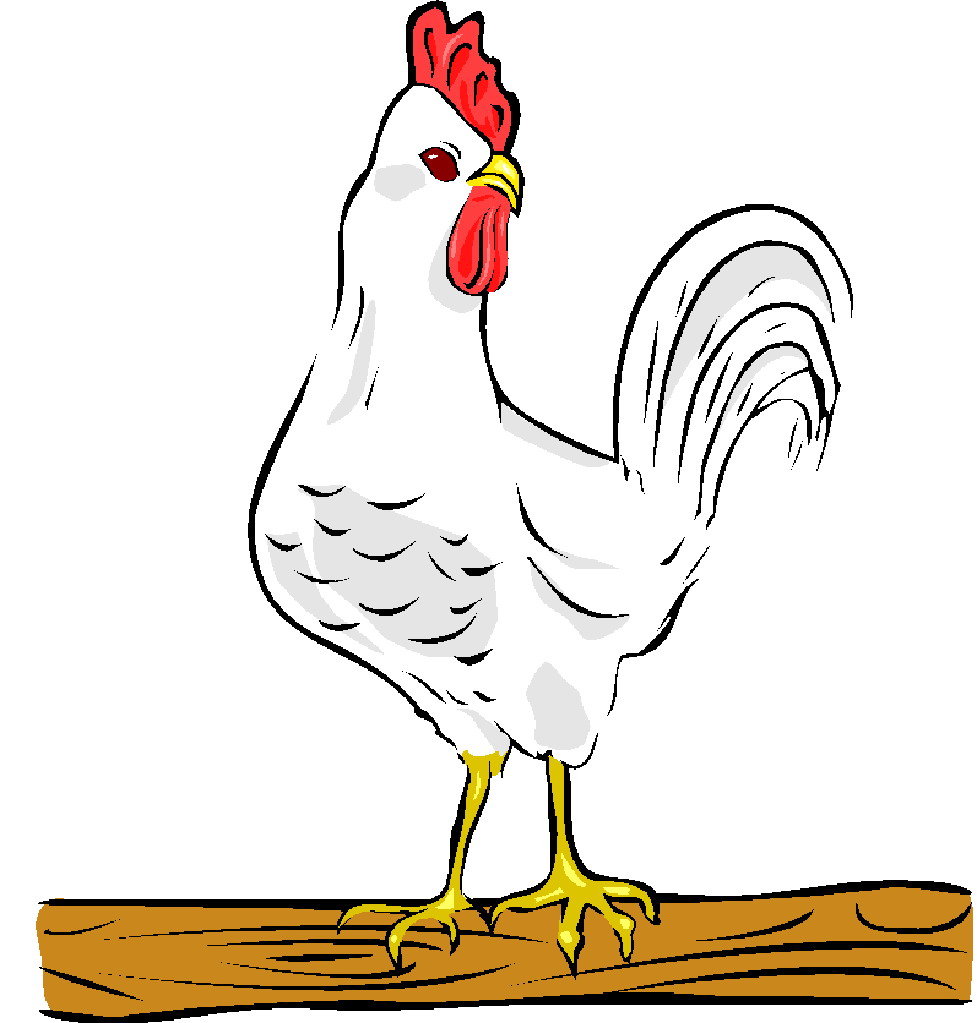 Chickens clip art