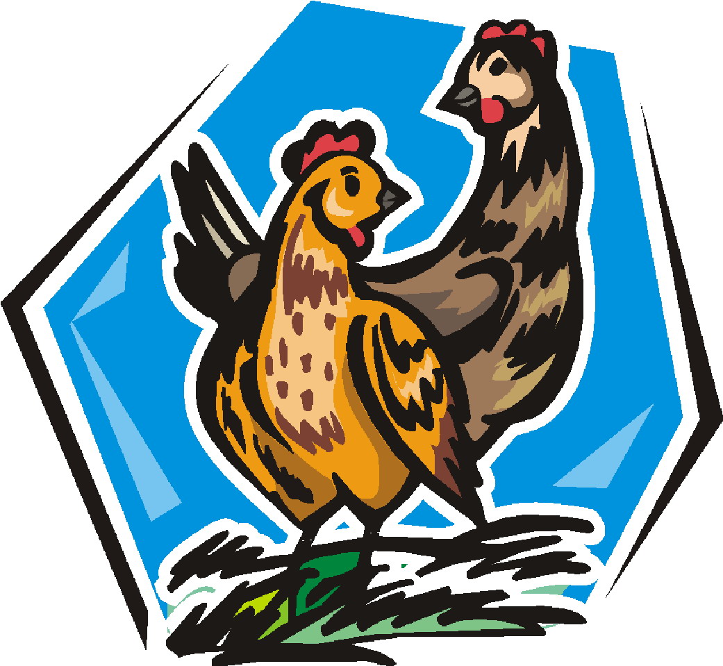 Chickens clip art