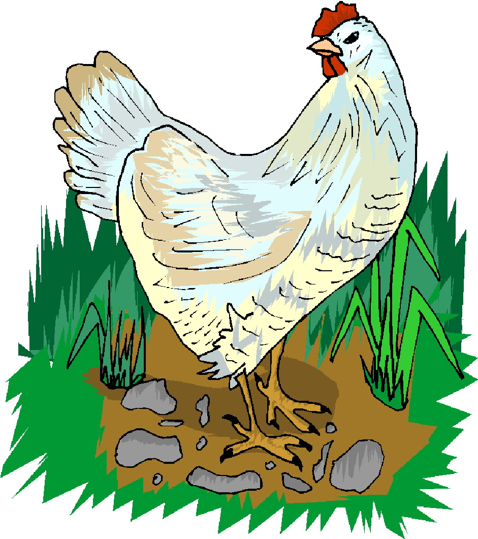 Chickens clip art