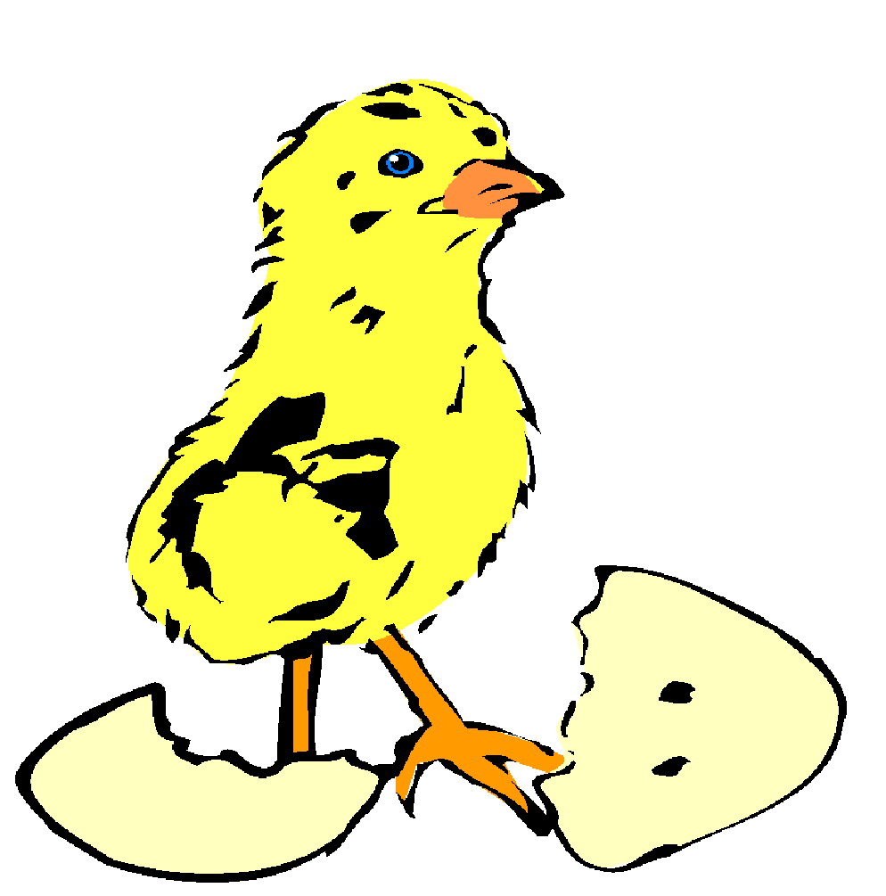 Chickens clip art