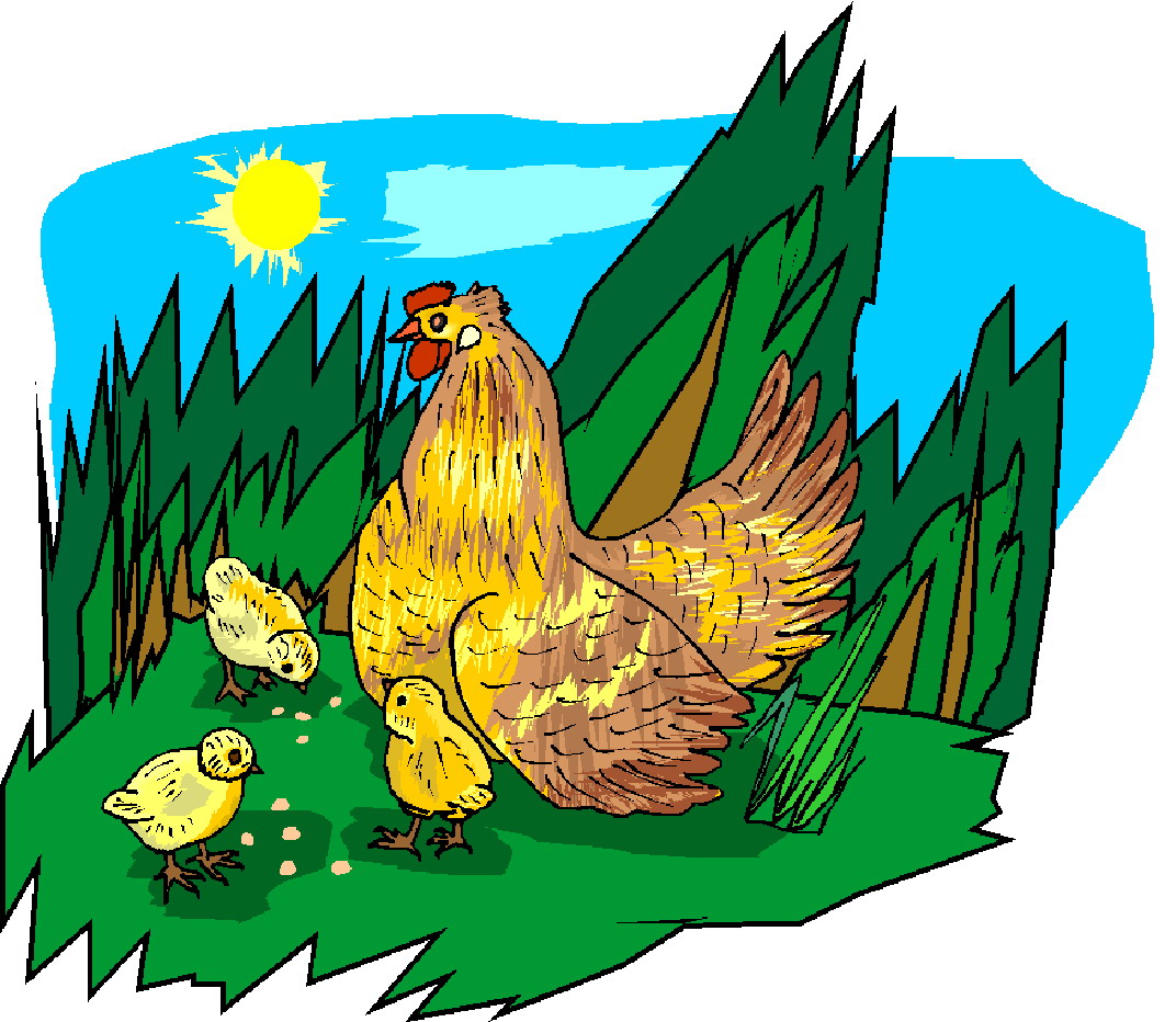 Chickens clip art