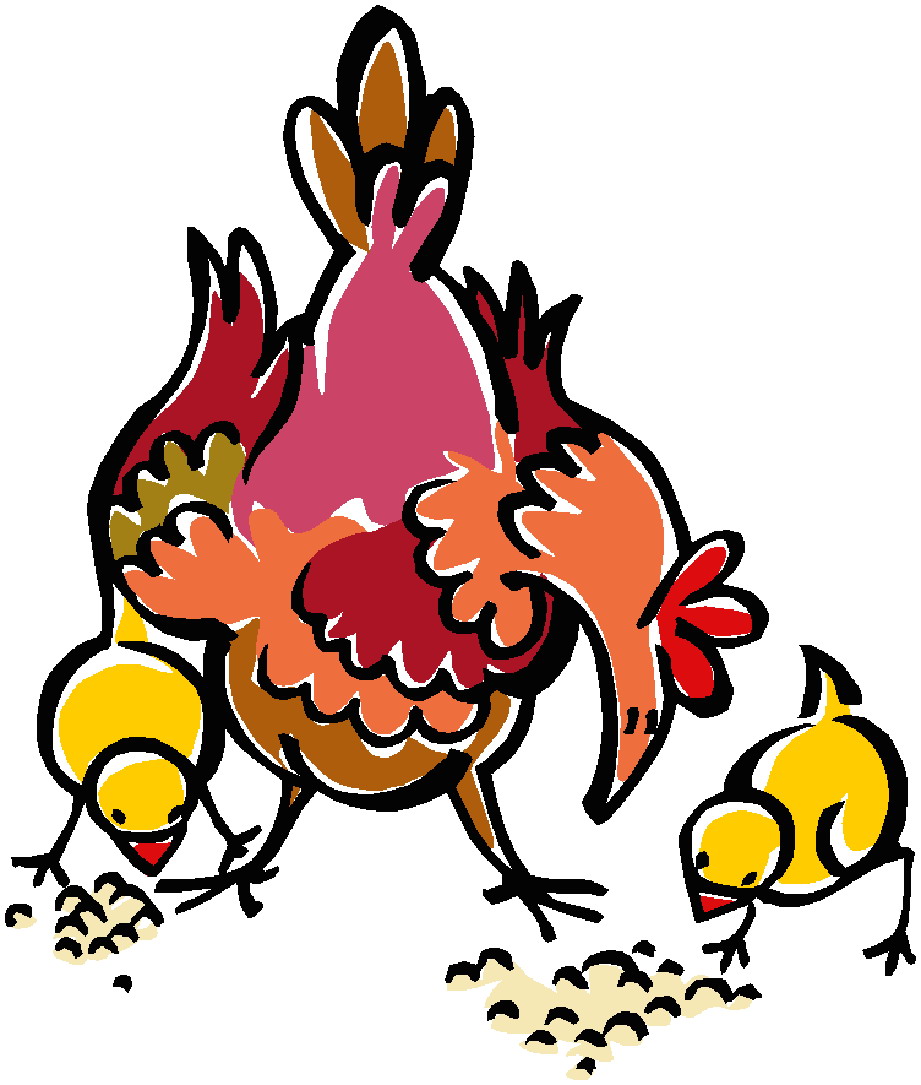 Chickens clip art