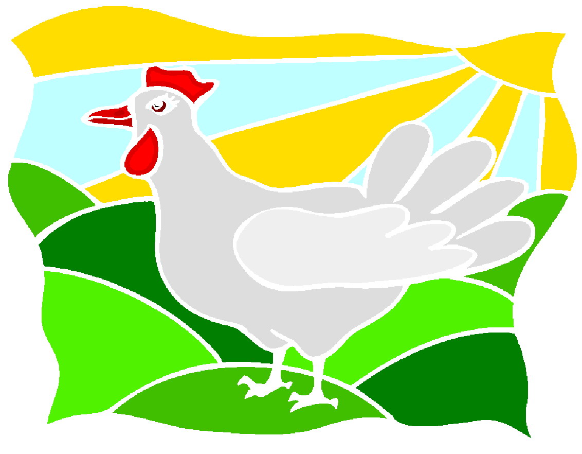 Chickens clip art