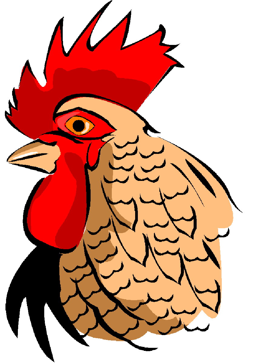 Chickens clip art