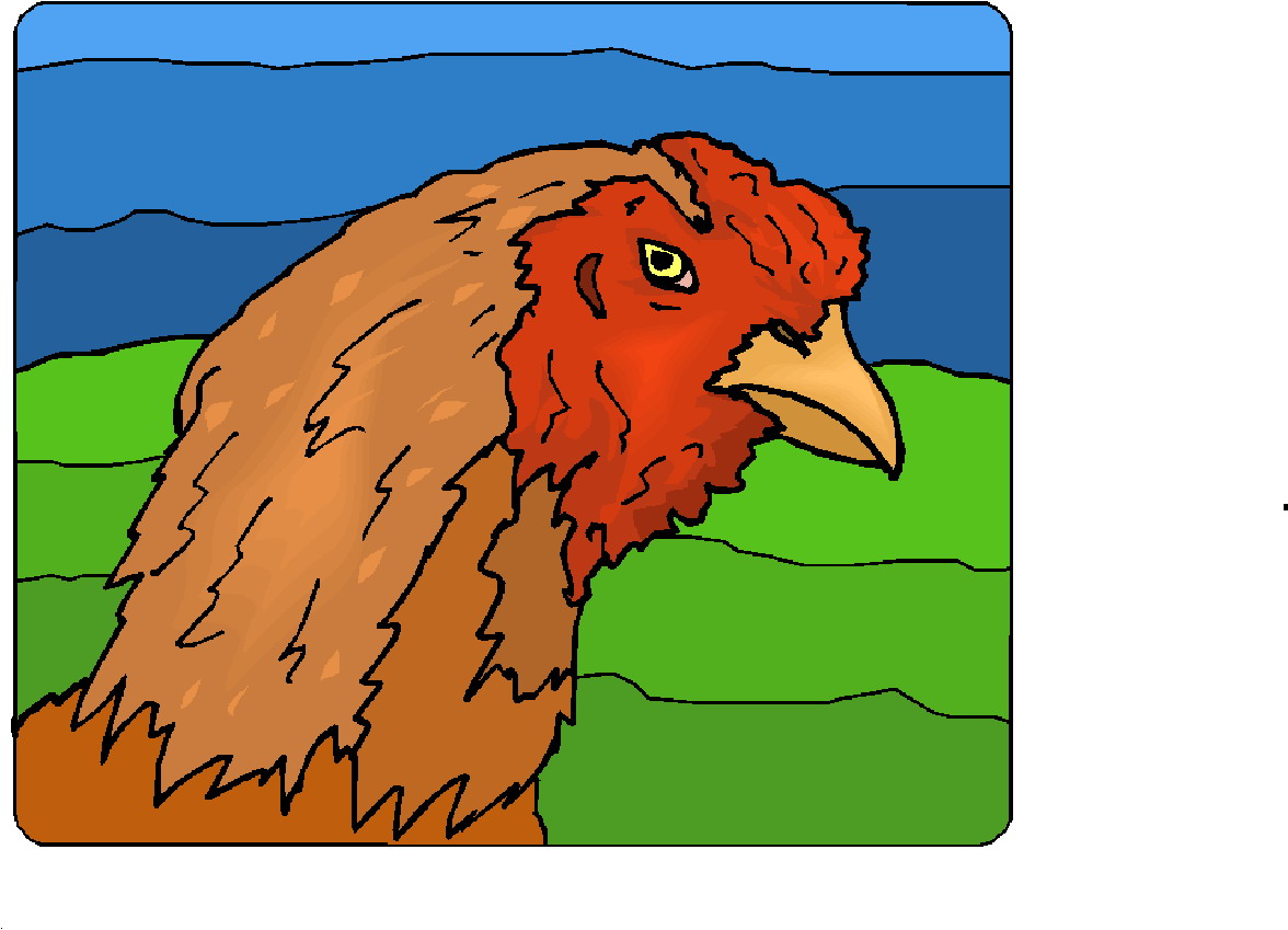 Chickens clip art