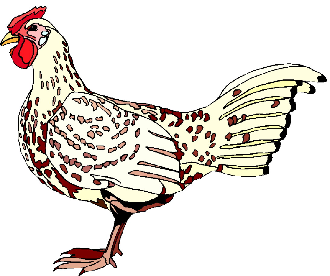 Chickens clip art