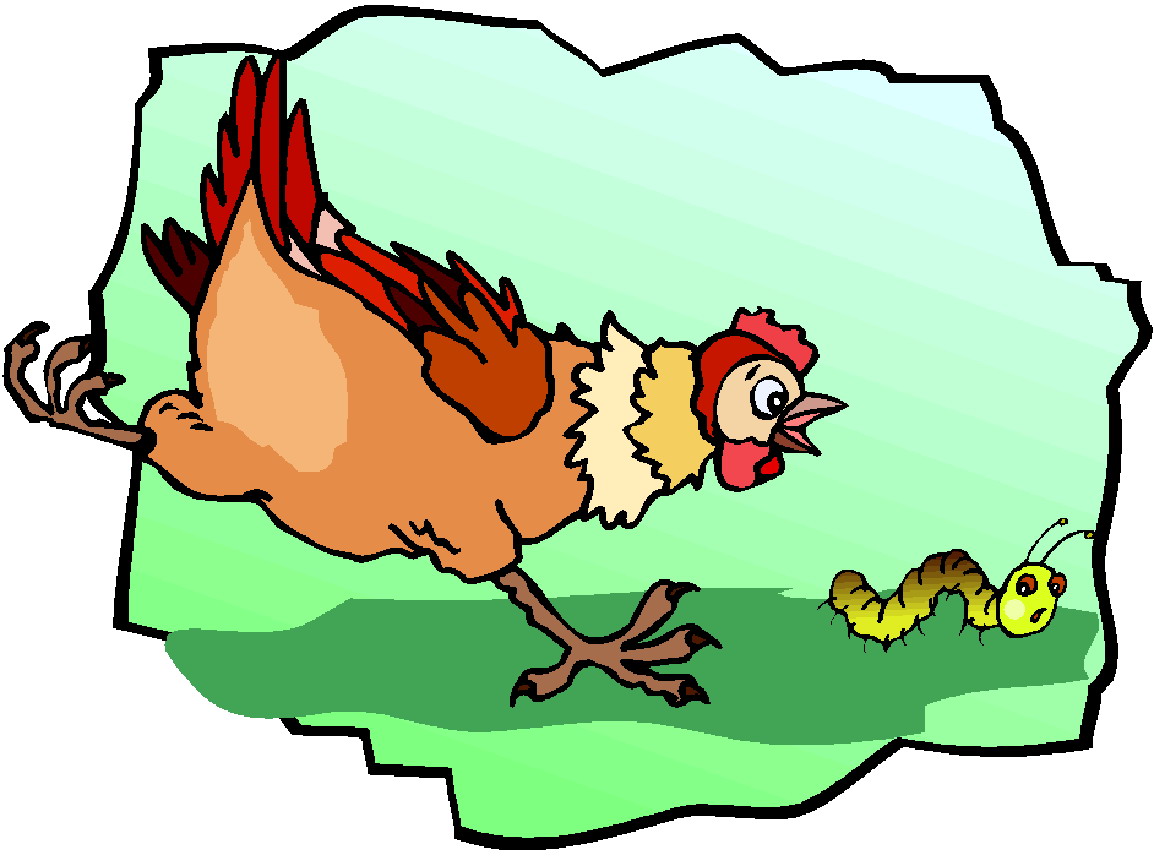 Chickens clip art