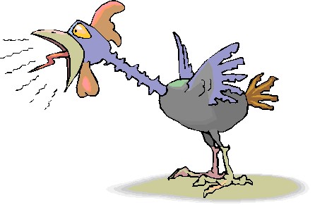 Chickens clip art
