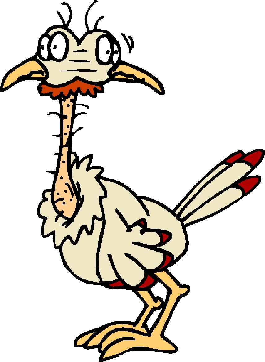 Chickens clip art