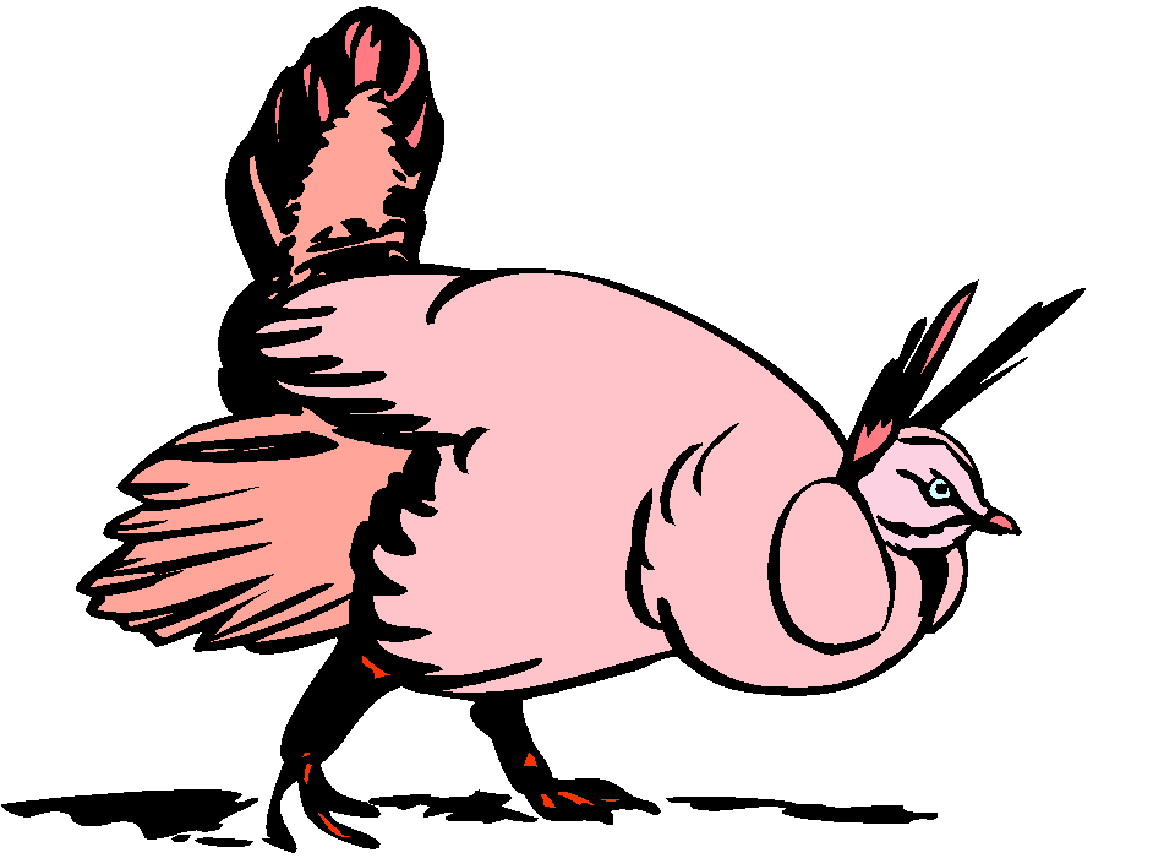 Chickens clip art