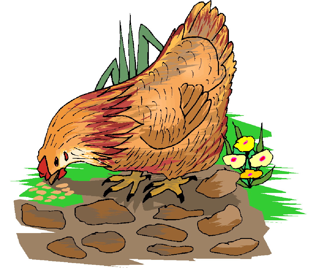 Chickens clip art