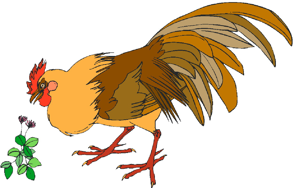 Chickens clip art