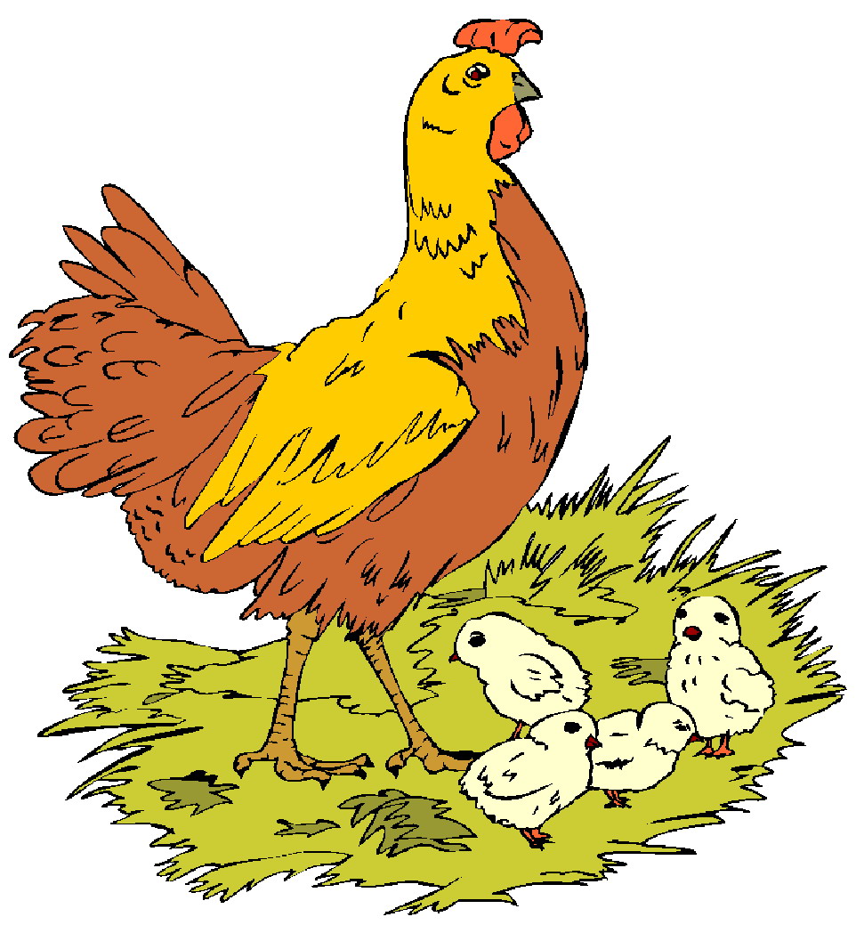 Chickens clip art