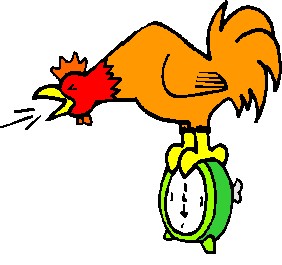 Chickens clip art