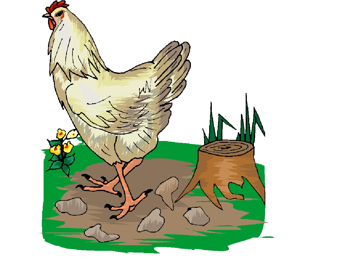 Chickens clip art