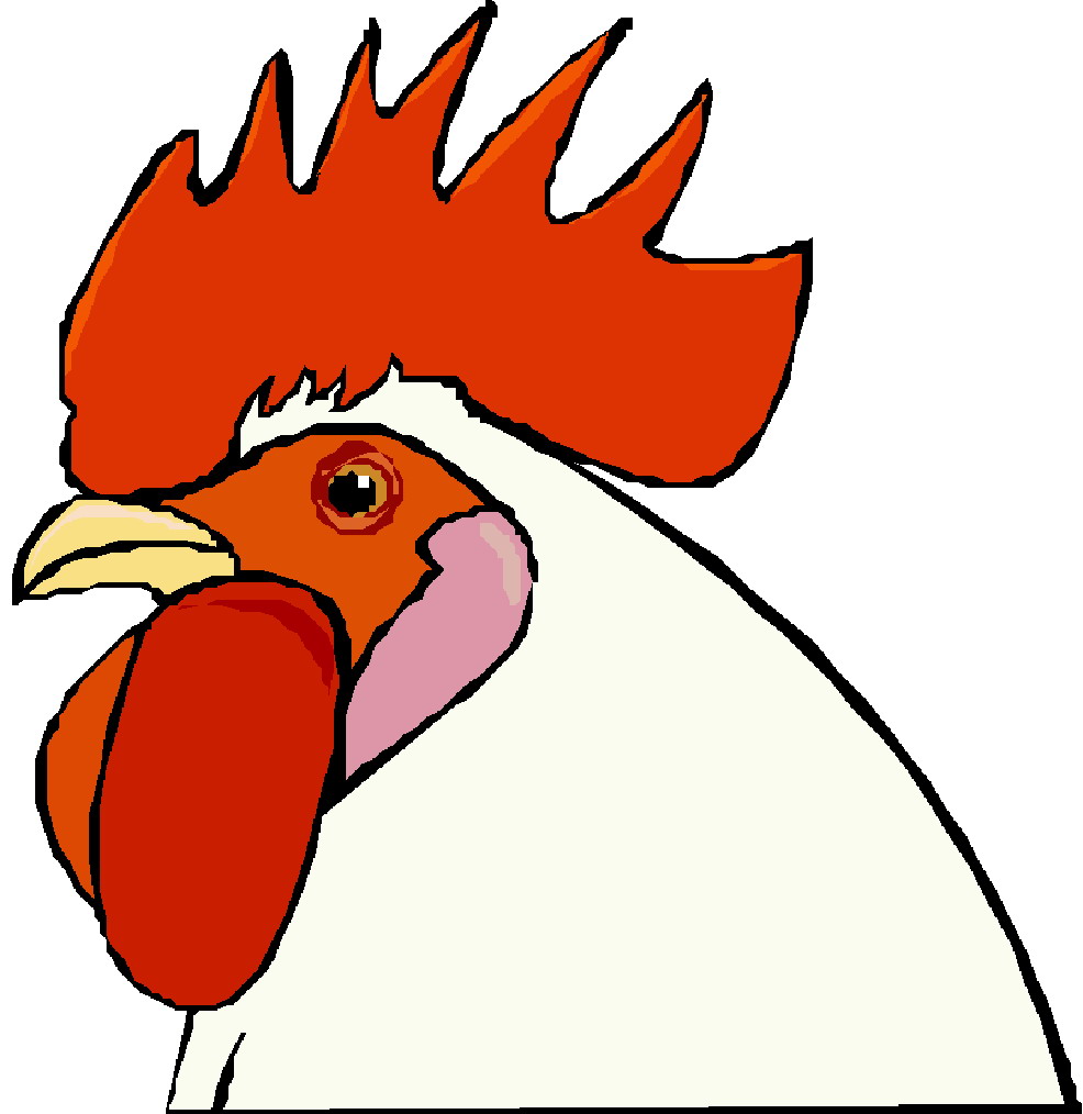 Chickens clip art