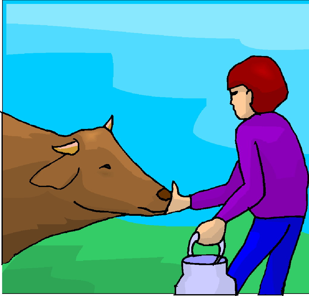 Cows clip art