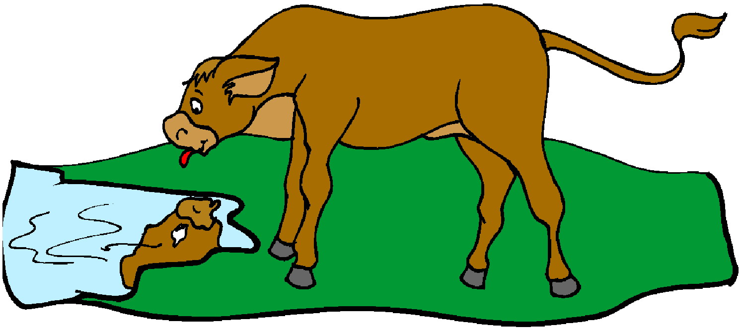 Cows clip art