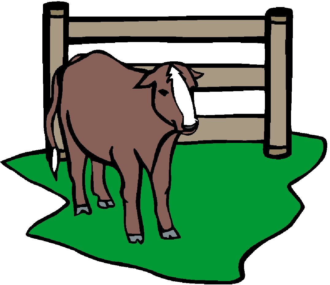 Cows clip art