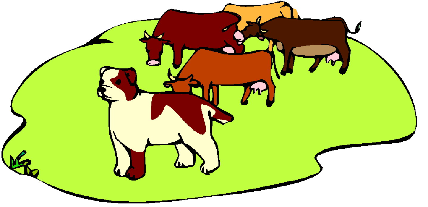 Cows clip art