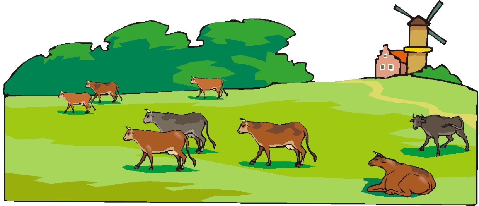 Cows clip art