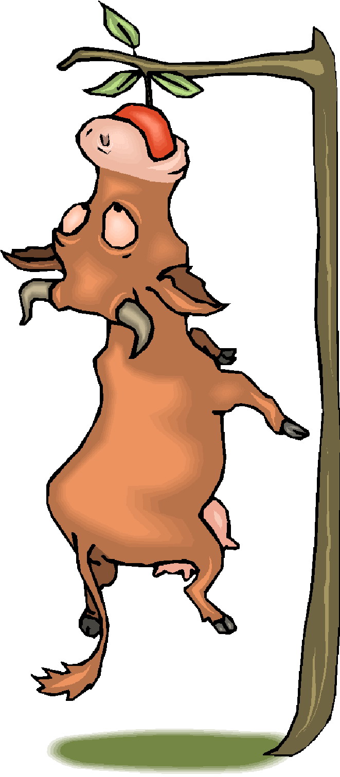 Cows clip art