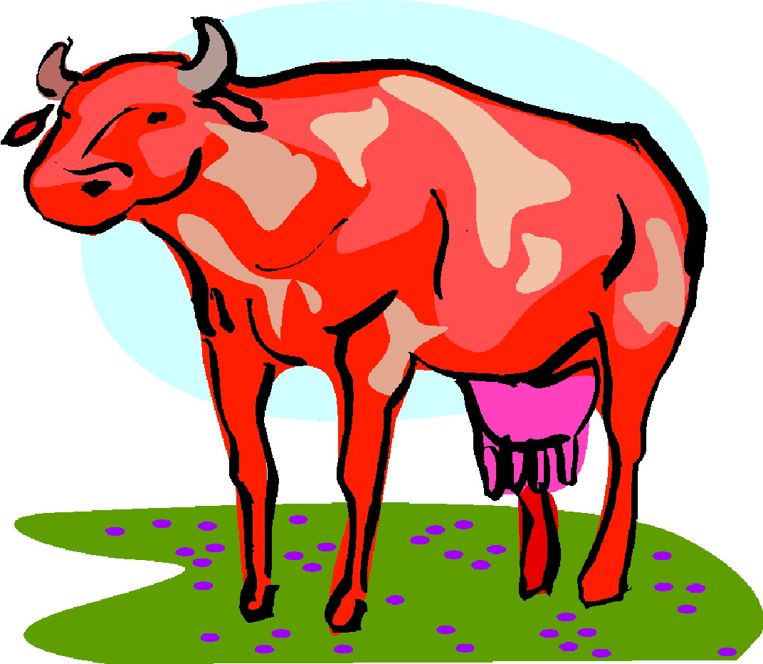 Cows clip art