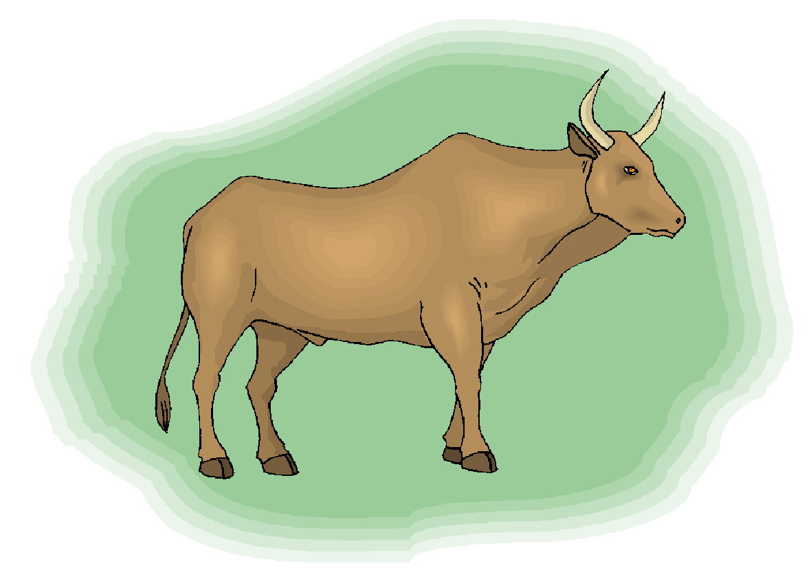 Cows clip art