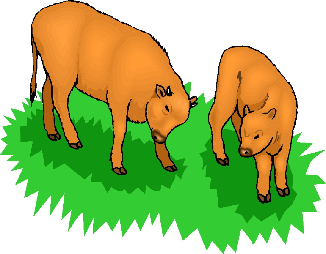 Cows clip art