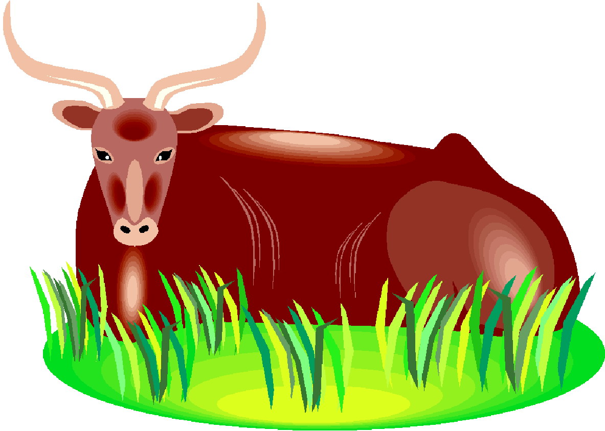 Cows clip art