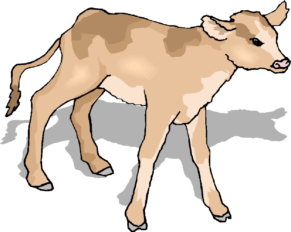 Cows clip art