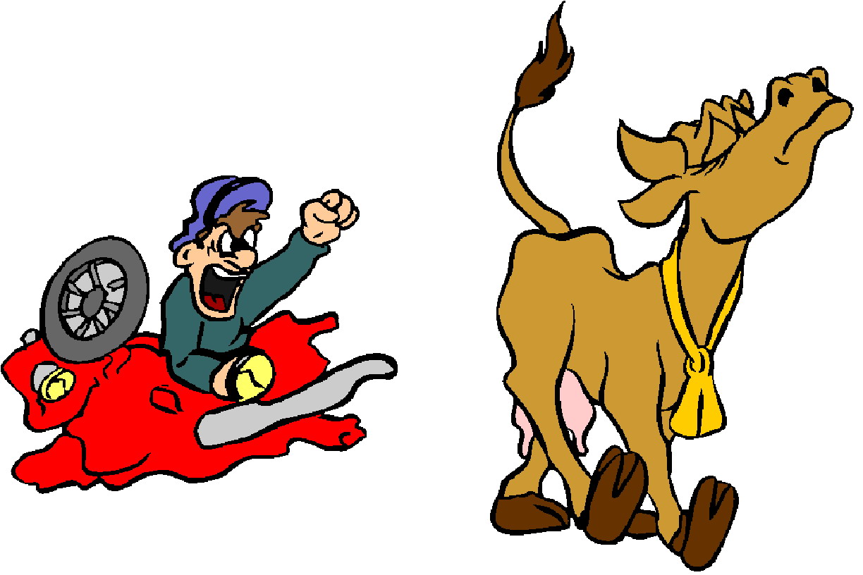 Cows clip art