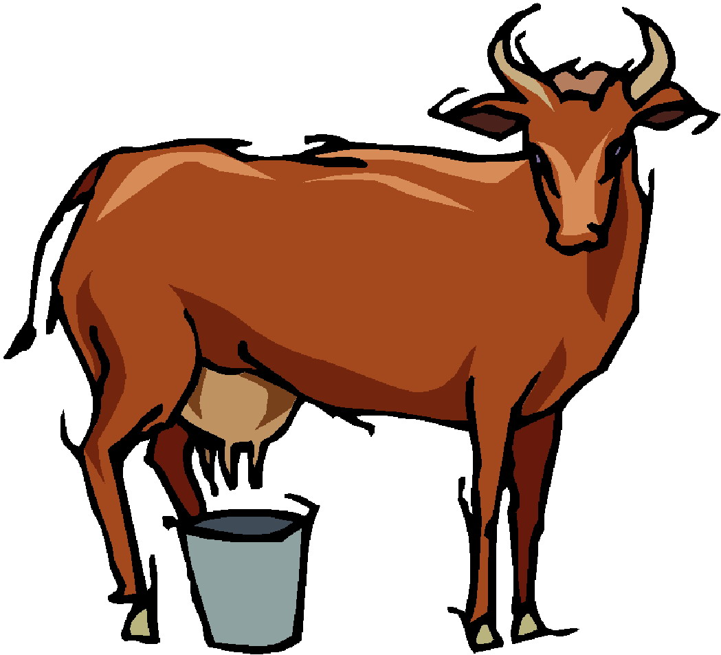 Cows clip art