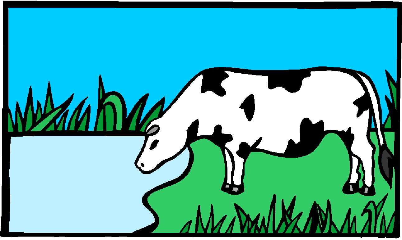 Cows clip art