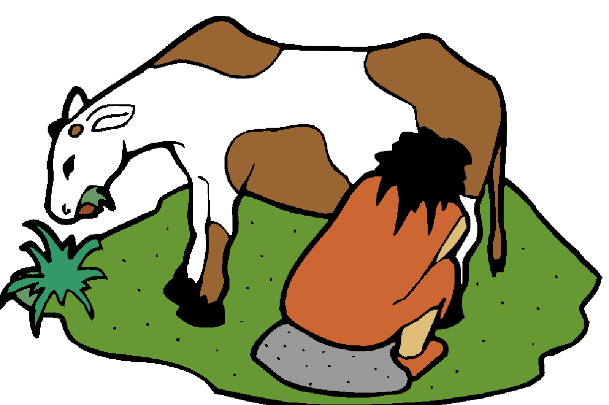 Cows clip art