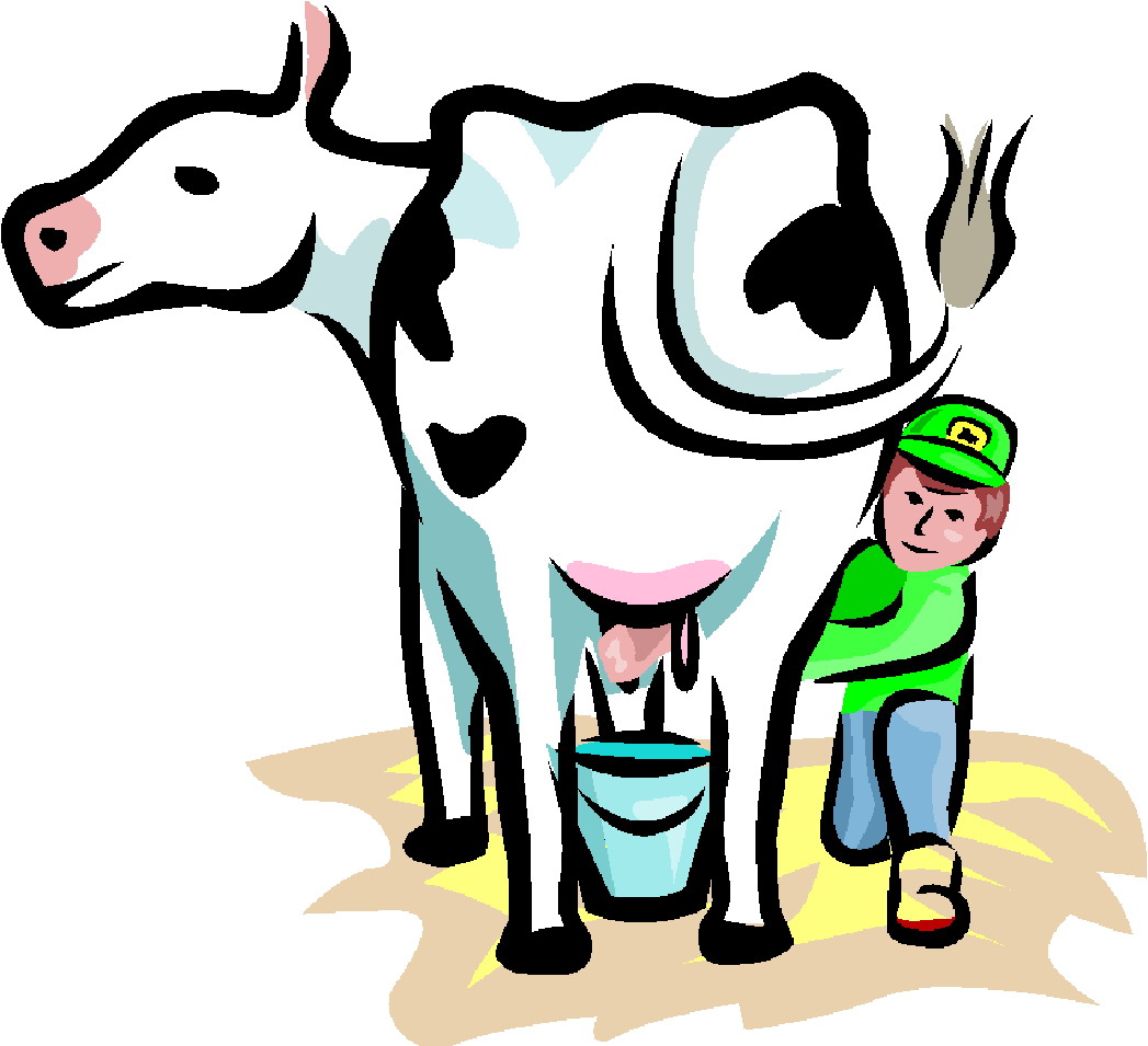 Cows clip art