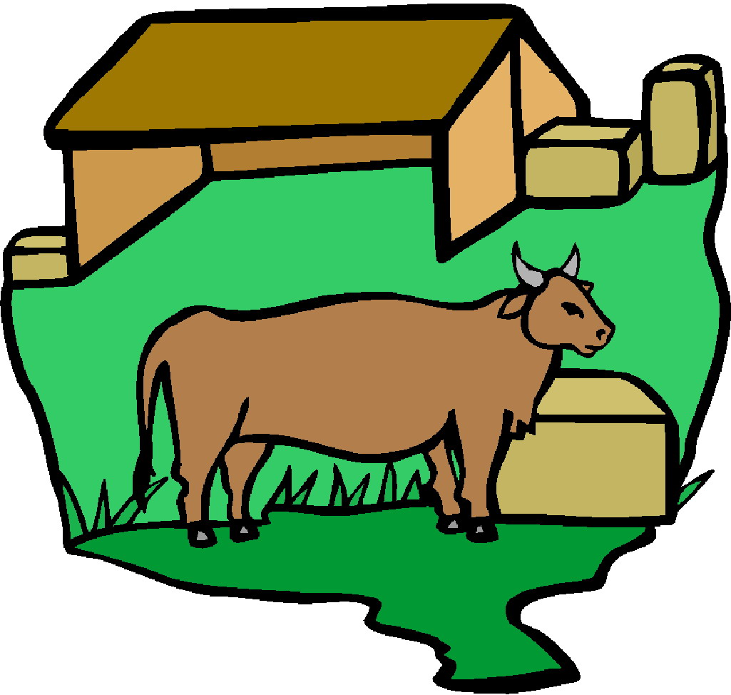 Cows clip art